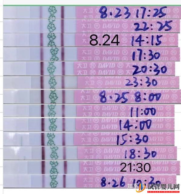 備孕懷男孩_兒子的科學(xué)方法如下(圖3)