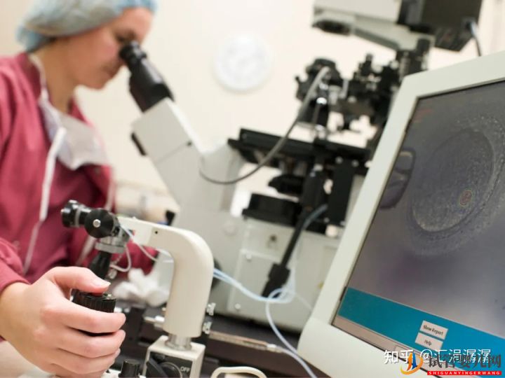 超真實全記錄視頻,揭秘胚胎著床(圖16) 超真實全記錄視頻,揭秘胚胎著床(圖7)