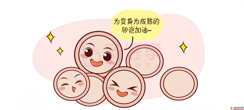 試管嬰兒的具體流程是什么？(圖1)