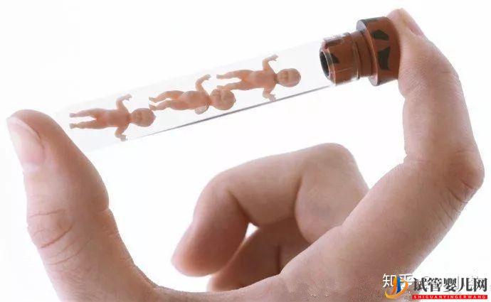 試管嬰兒基本流程(圖1)