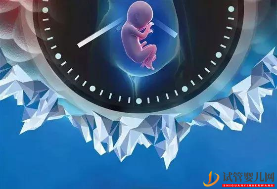 試管嬰兒技術的9大操作流程(圖1)