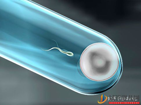 試管嬰兒流程太復(fù)雜_5個(gè)步驟一眼看懂(圖2) 試管嬰兒流程太復(fù)雜_5個(gè)步驟一眼看懂(圖2)