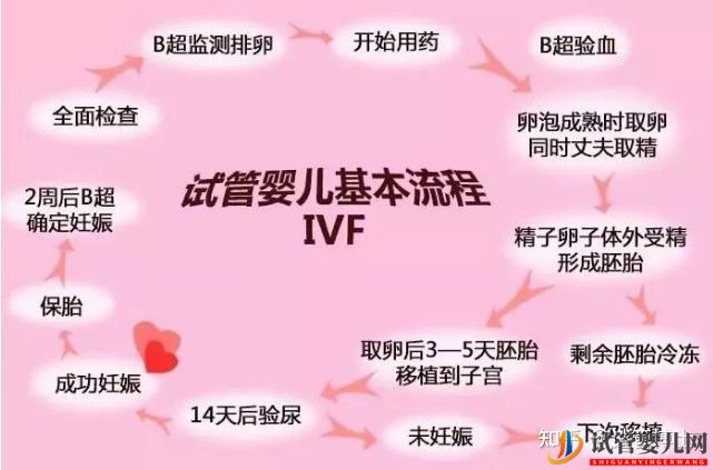 試管嬰兒詳細流程 建議收藏(圖1)