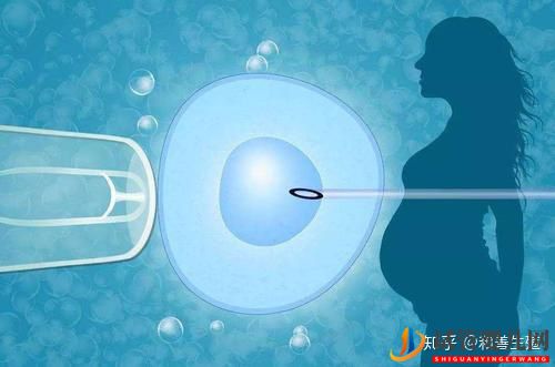 做試管嬰兒的全部流程有多少(圖1)