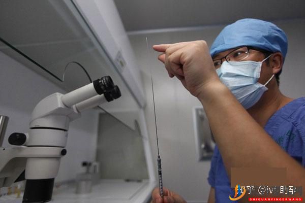 做試管嬰兒的流程——六個步驟(圖2) 做試管嬰兒的流程——六個步驟(圖1)