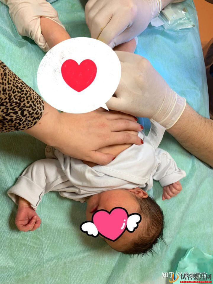 一分鐘教你讀懂,試管嬰兒全流程(圖1)