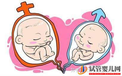 供卵試管嬰兒生男孩流程(圖2)