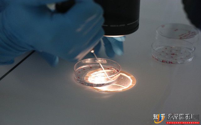 三代試管步驟一般需要多長(zhǎng)時(shí)間(圖4) 三代試管步驟一般需要多長(zhǎng)時(shí)間(圖4)