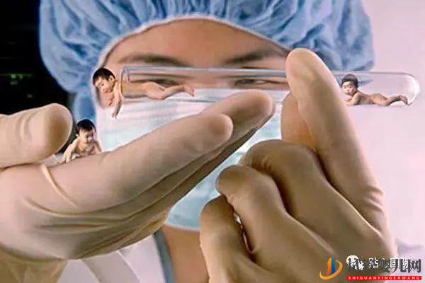 試管嬰兒過程是怎樣的?有最詳細的試管解說步驟!(圖2) 試管嬰兒過程是怎樣的?有最詳細的試管解說步驟!(圖1)