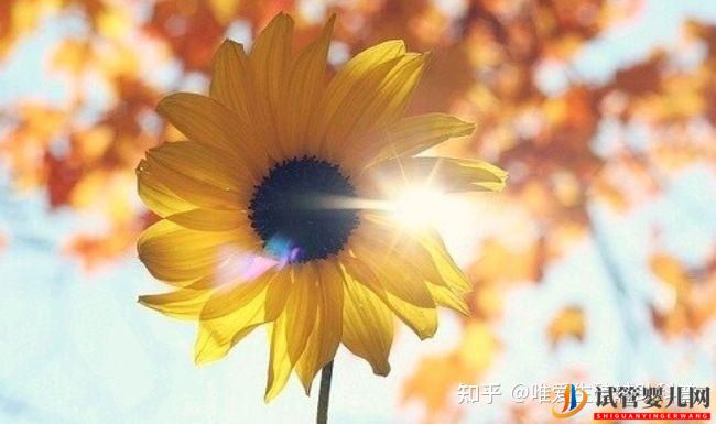 公立醫(yī)院試管嬰兒多少錢(qián)一次？一代二代三代費(fèi)用明細(xì)(圖3)