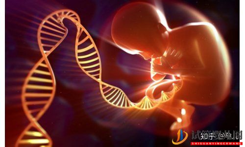 試管嬰兒網(wǎng):第二期_試管嬰兒的費(fèi)用是多少(圖3) 試管嬰兒的費(fèi)用是多少(圖2)