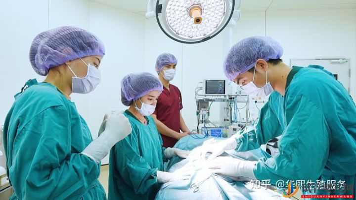 試管嬰兒費用包含哪些方面(圖3)