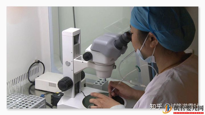 試管嬰兒網(wǎng):試管嬰兒費(fèi)用大約多少2022年——最全面的費(fèi)用詳解(圖1) 試管嬰兒費(fèi)用大約多少——最全面的費(fèi)用詳解(圖1)