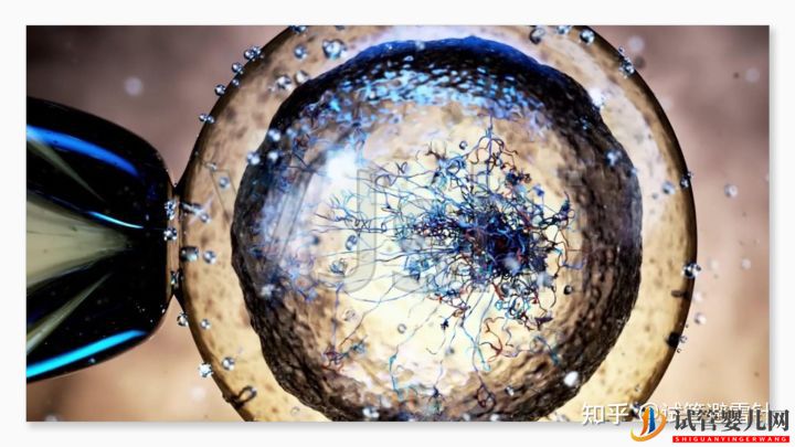 試管嬰兒網(wǎng):試管嬰兒費(fèi)用大約多少2022年——最全面的費(fèi)用詳解(圖4) 試管嬰兒費(fèi)用大約多少——最全面的費(fèi)用詳解(圖4)