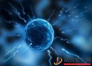 試管嬰兒費用的高低是根據患者體質不同收取嗎(圖1)