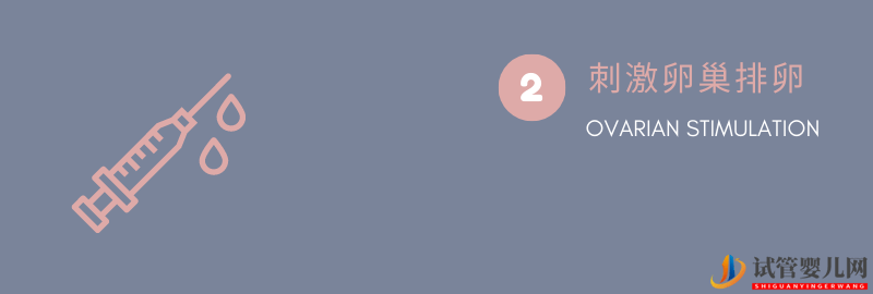 試管嬰兒步驟詳解(圖3)