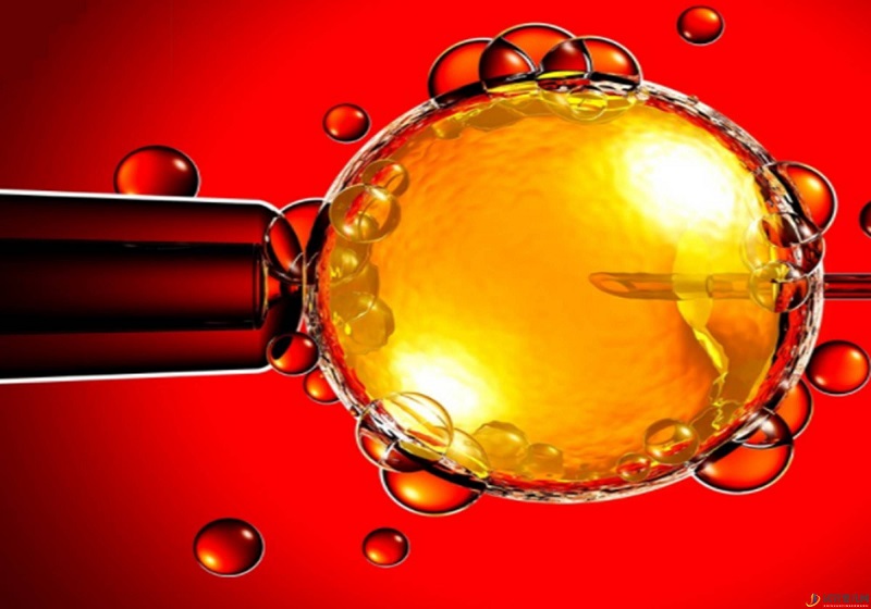 試管嬰兒與自然嬰兒有何區別？了解試管受孕過程(圖1)