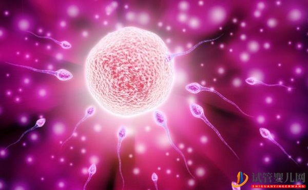 試管嬰兒網(wǎng):試管嬰兒手術(shù)費(fèi)用有哪些_(圖2) 試管嬰兒手術(shù)費(fèi)用有哪些(圖1)