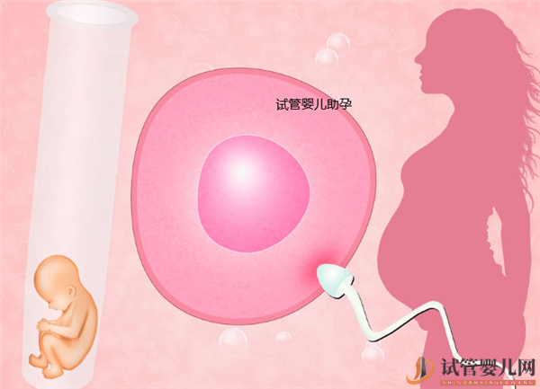 試管嬰兒基礎知識和注意事項(圖1)
