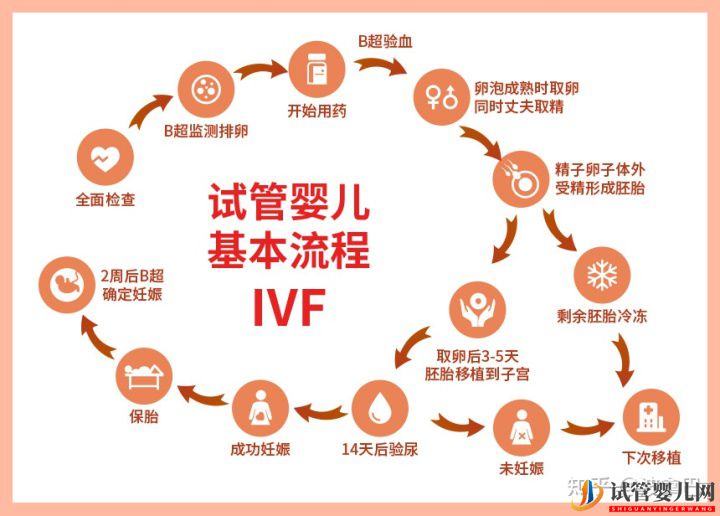 試管嬰兒怎么做的全過程_什么是第三代試管嬰兒(圖2)