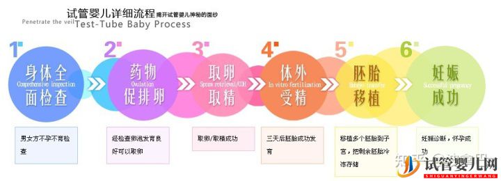 試管嬰兒怎么做的全過程_什么是第三代試管嬰兒(圖3)