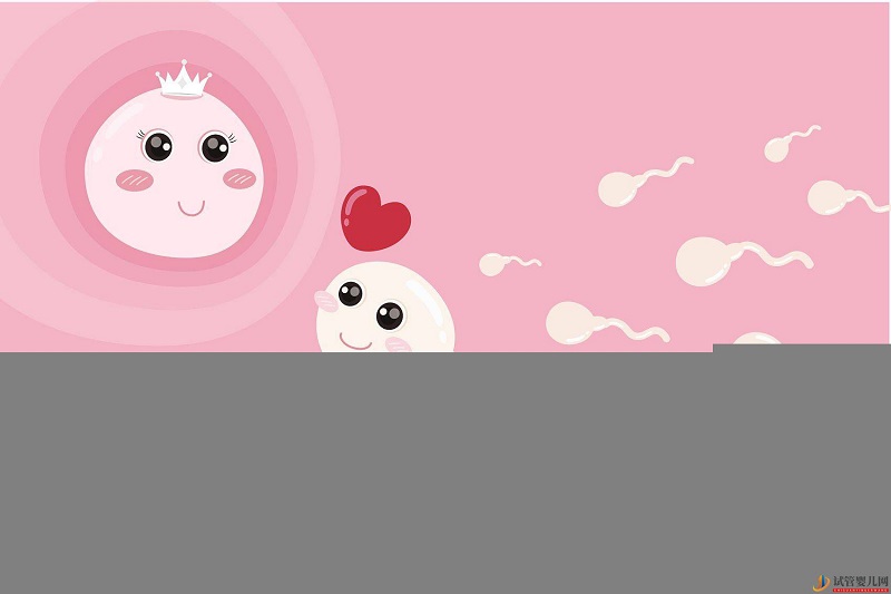 試管嬰兒網(wǎng):影響試管嬰兒的費(fèi)用的因素有哪些?(圖2) 影響試管嬰兒的費(fèi)用的因素有哪些?(圖2)