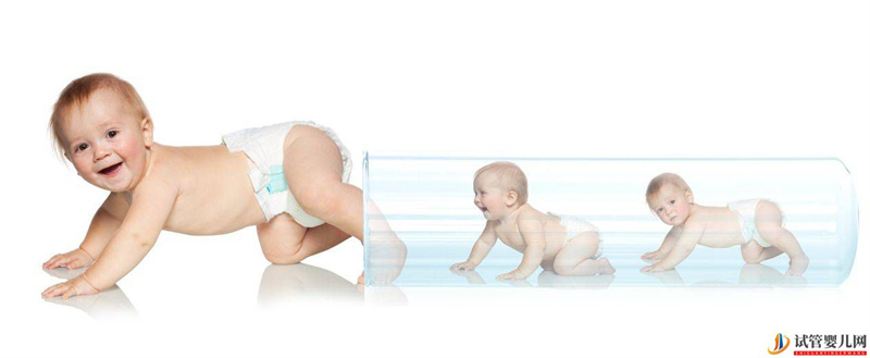 試管嬰兒網(wǎng):影響試管嬰兒的費(fèi)用的因素有哪些?(圖1) 影響試管嬰兒的費(fèi)用的因素有哪些?(圖1)