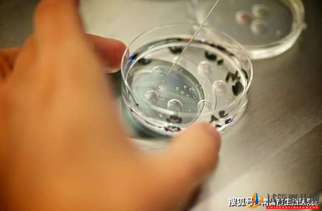 一文讀懂，試管嬰兒的全過程(圖1)