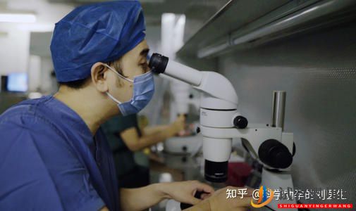 做試管嬰兒的全過程,一切順利的話(圖6)