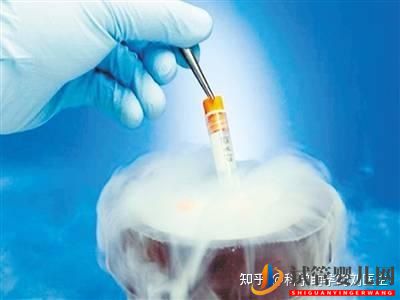 做試管嬰兒的全過程,一切順利的話(圖11)