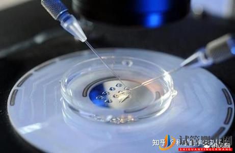 做試管嬰兒的全過程,一切順利的話(圖7)