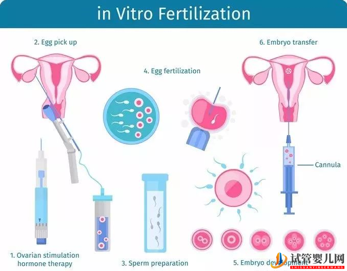 白城做試管嬰兒一個周期大概需要多久(圖1)