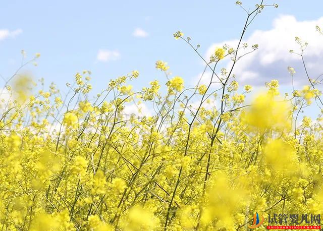 做試管嬰兒需不需要辭職？(圖1)