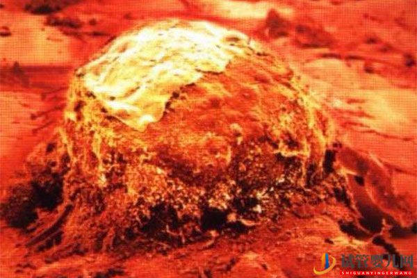 美國(guó)試管嬰兒移植專題-著床過(guò)程是怎樣的，如何提高妊娠率？(圖1)