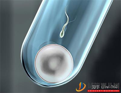 試管嬰兒的歷史及其發展過程(圖2)