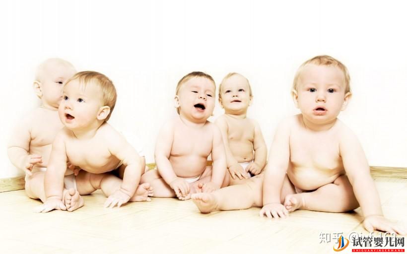 試管嬰兒的歷史及其發展過程(圖21)