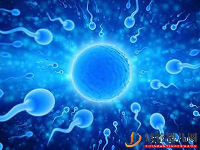 試管嬰兒的歷史及其發展過程(圖19)