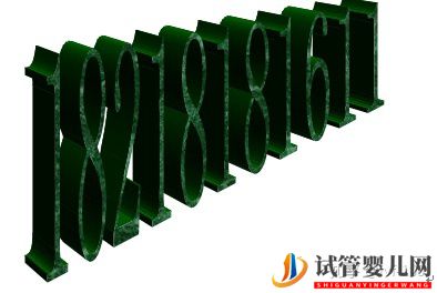 試管嬰兒的歷史及其發展過程(圖24)