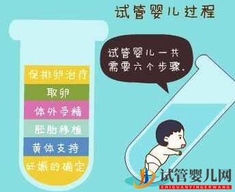 試管嬰兒的過程步驟(圖1)