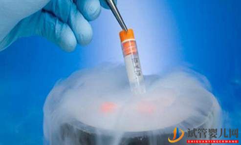 試管嬰兒凍胚的復蘇和移植過程是怎樣的？(圖1)