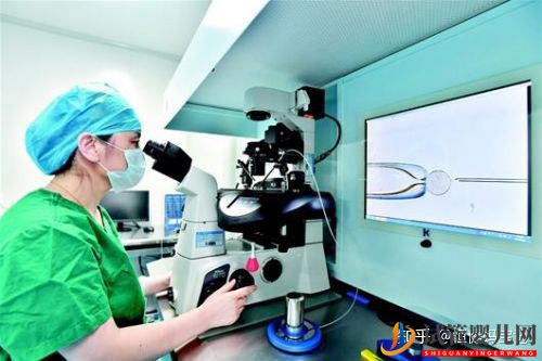 安順第三代試管嬰兒大概費(fèi)用要花多少錢(圖2)