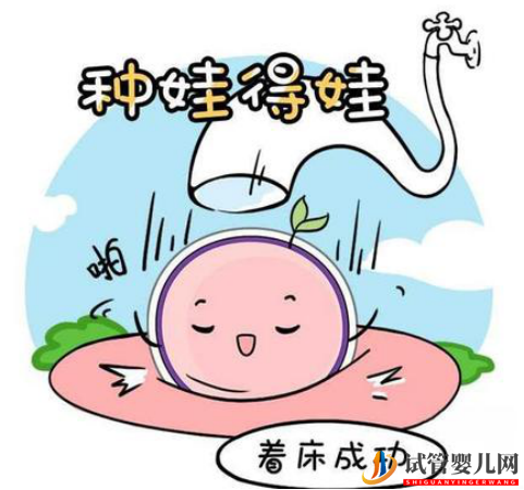 試管嬰兒胚胎數(shù)量由什么決定?(圖1) 試管嬰兒胚胎數(shù)量由什么決定?(圖1)