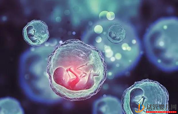 試管嬰兒胚胎移植后的癥狀(圖1)