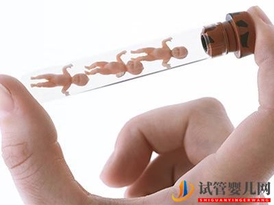 試管嬰兒胚胎著床的注意事項(圖1)