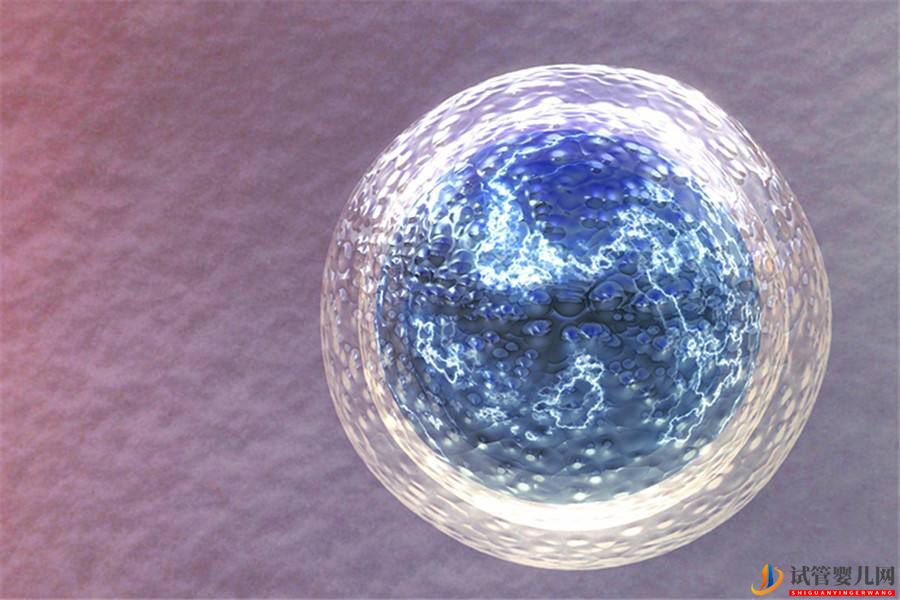 試管嬰兒取卵會不會導致提前衰老(圖1)