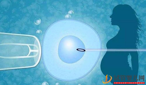 試管嬰兒取卵越多，成功率越高嗎？(圖1)