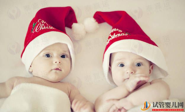 試管嬰兒移植一個胚胎好，還是移植兩個胚胎更好？(圖1)