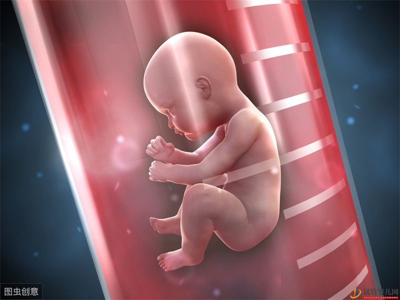 試管嬰兒與正常嬰兒有區別？三個常見問答揭開對試管嬰兒的誤解(圖2)