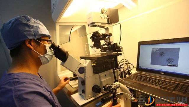 做試管嬰兒前檢查項(xiàng)目什么作用(圖2) 做試管嬰兒前檢查項(xiàng)目什么作用(圖2)