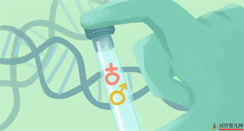 俄羅斯試管嬰兒是不是想男生就能生男孩？(圖1)